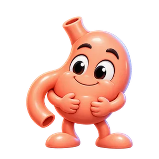Gut